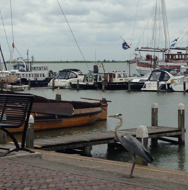 742459AB-BFC7-4CA7-B9C0-0F264CA23000